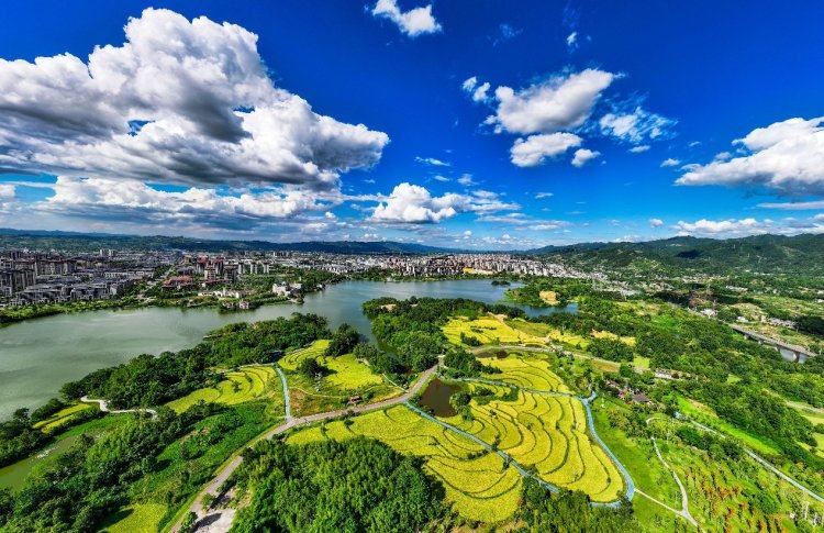 专业赛事 专业赛事