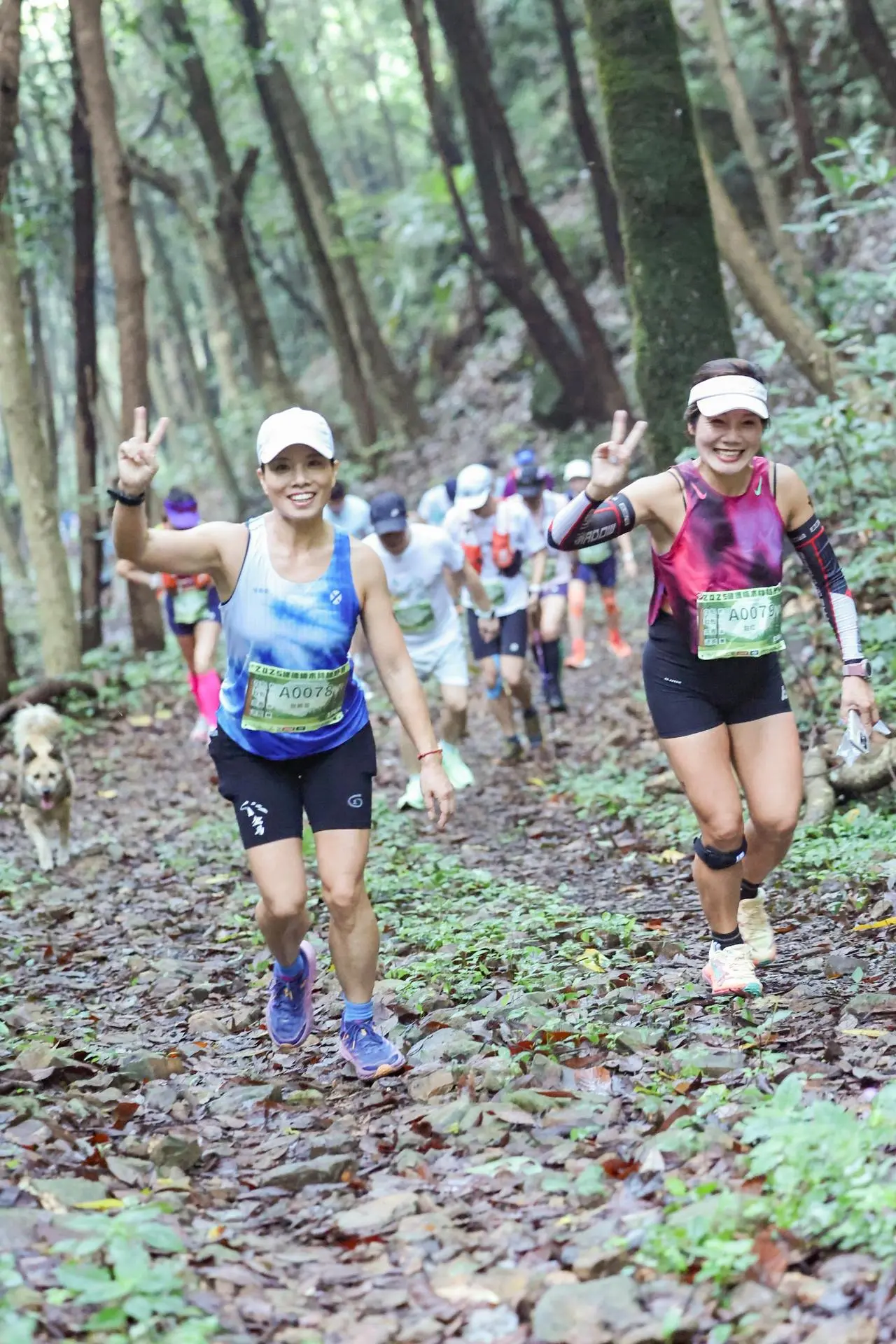 全新阶段, msn, https 全新阶段, msn, https